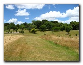 Auckland-Botanic-Gardens-Manukau-North-Island-New-Zealand-062