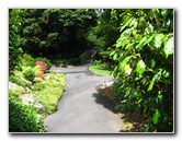 Auckland-Botanic-Gardens-Manukau-North-Island-New-Zealand-070