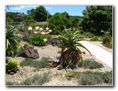 Auckland-Botanic-Gardens-Manukau-North-Island-New-Zealand-090