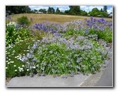 Auckland-Botanic-Gardens-Manukau-North-Island-New-Zealand-103