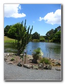 Auckland-Botanic-Gardens-Manukau-North-Island-New-Zealand-106