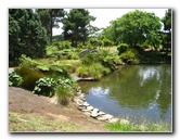 Auckland-Botanic-Gardens-Manukau-North-Island-New-Zealand-114