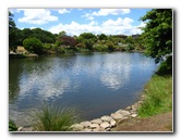 Auckland-Botanic-Gardens-Manukau-North-Island-New-Zealand-115