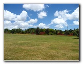 Auckland-Botanic-Gardens-Manukau-North-Island-New-Zealand-119