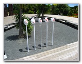 Auckland-Botanic-Gardens-Manukau-North-Island-New-Zealand-120