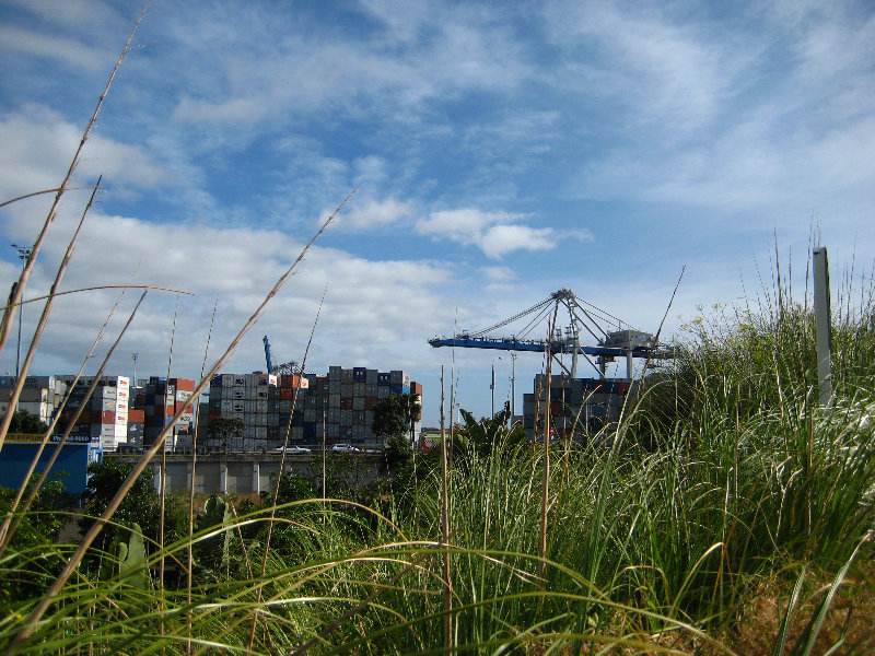Auckland-City-Tour-North-Island-New-Zealand-020