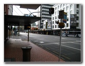 Auckland-City-Tour-North-Island-New-Zealand-001