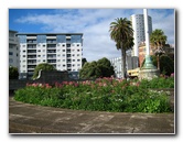 Auckland-City-Tour-North-Island-New-Zealand-013