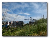 Auckland-City-Tour-North-Island-New-Zealand-020