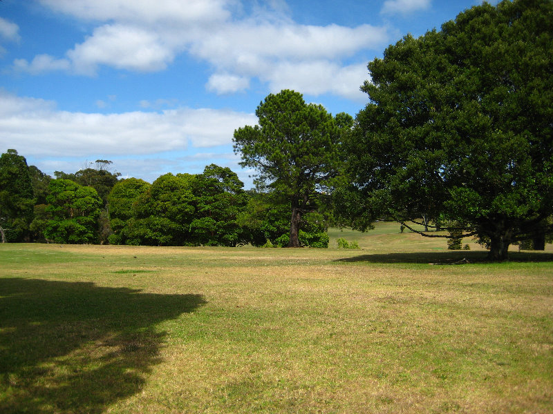 Auckland-Domain-Park-North-Island-New-Zealand-006