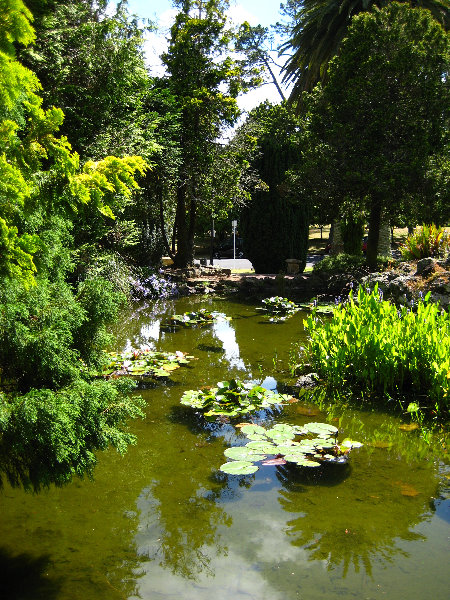 Auckland-Domain-Park-North-Island-New-Zealand-013