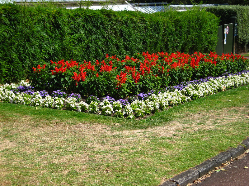 Auckland-Domain-Park-North-Island-New-Zealand-018