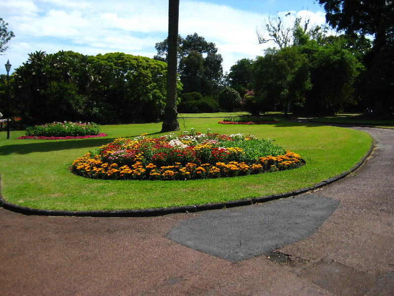 Auckland-Domain-Park-North-Island-New-Zealand-019