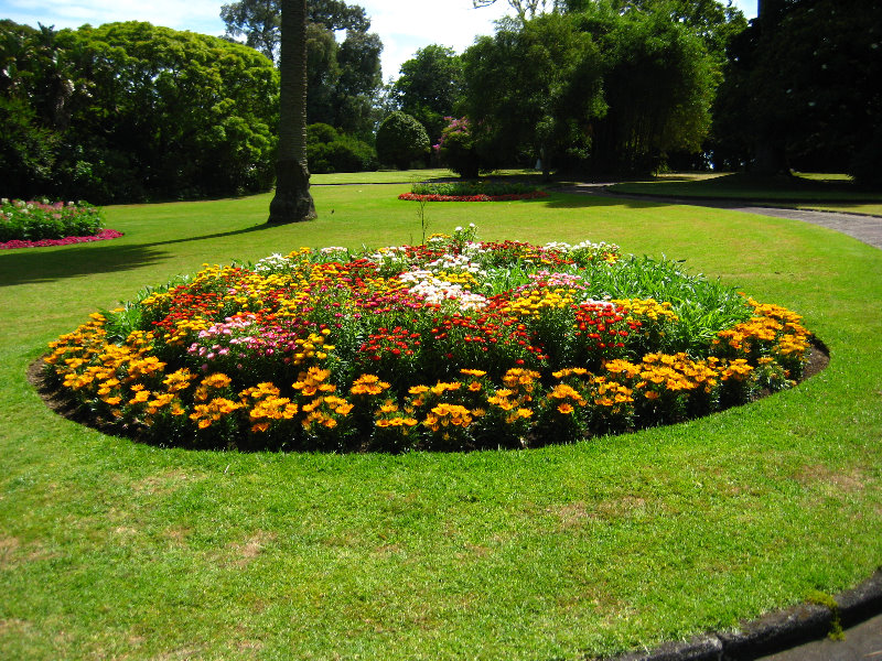 Auckland-Domain-Park-North-Island-New-Zealand-020