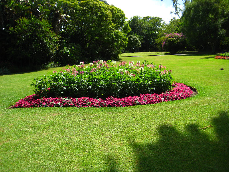 Auckland-Domain-Park-North-Island-New-Zealand-021