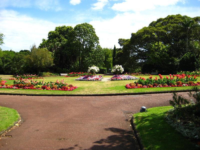 Auckland-Domain-Park-North-Island-New-Zealand-022