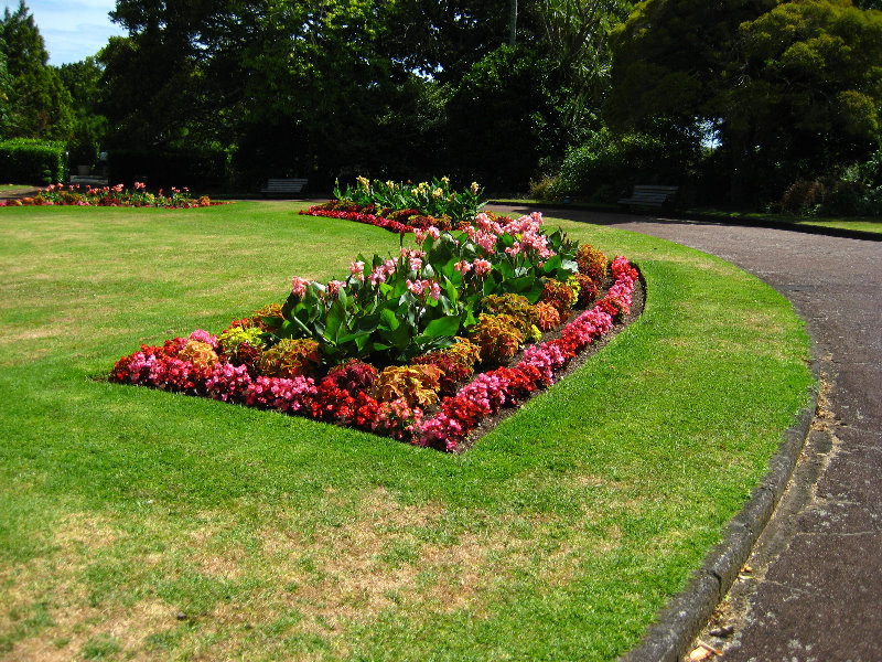 Auckland-Domain-Park-North-Island-New-Zealand-023