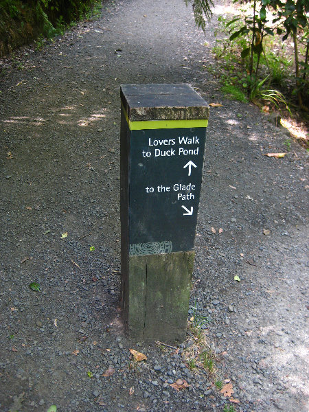 Auckland-Domain-Park-North-Island-New-Zealand-026