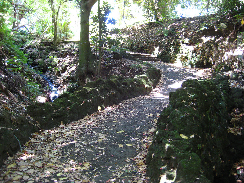 Auckland-Domain-Park-North-Island-New-Zealand-029