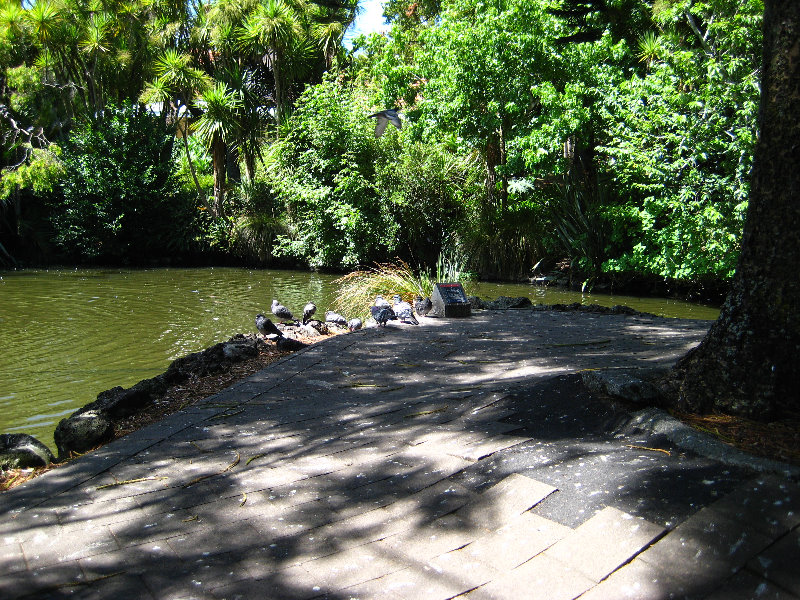 Auckland-Domain-Park-North-Island-New-Zealand-033