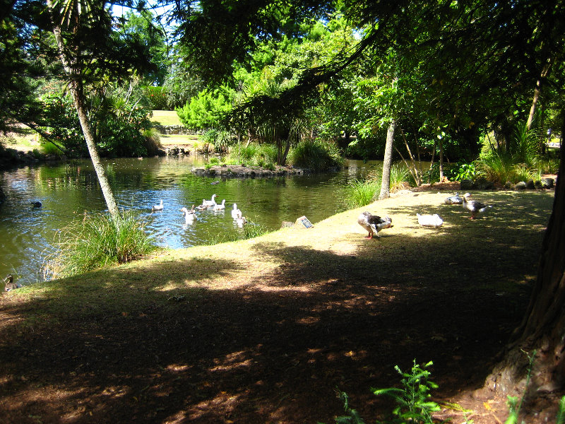 Auckland-Domain-Park-North-Island-New-Zealand-034