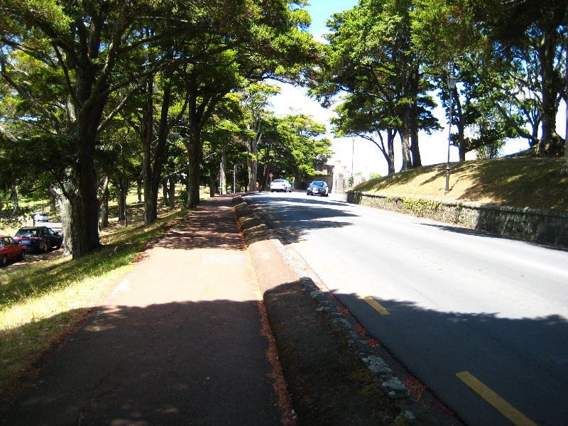 Auckland-Domain-Park-North-Island-New-Zealand-039