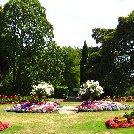 Auckland Domain Park - New Zealand