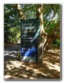 Auckland-Domain-Park-North-Island-New-Zealand-001