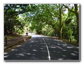 Auckland-Domain-Park-North-Island-New-Zealand-002