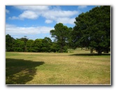 Auckland-Domain-Park-North-Island-New-Zealand-006