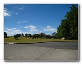 Auckland-Domain-Park-North-Island-New-Zealand-011