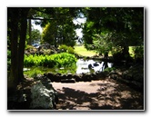 Auckland-Domain-Park-North-Island-New-Zealand-012