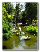 Auckland-Domain-Park-North-Island-New-Zealand-013