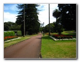 Auckland-Domain-Park-North-Island-New-Zealand-017