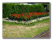 Auckland-Domain-Park-North-Island-New-Zealand-018