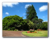 Auckland-Domain-Park-North-Island-New-Zealand-024