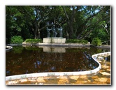 Auckland Domain Park Pictures - New Zealand