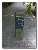 Auckland-Domain-Park-North-Island-New-Zealand-026