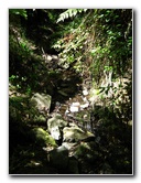 Auckland-Domain-Park-North-Island-New-Zealand-027