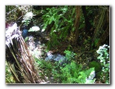 Auckland-Domain-Park-North-Island-New-Zealand-028