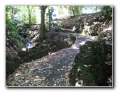 Auckland-Domain-Park-North-Island-New-Zealand-029