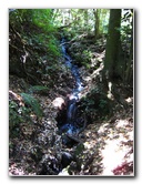 Auckland-Domain-Park-North-Island-New-Zealand-030