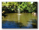 Auckland-Domain-Park-North-Island-New-Zealand-032