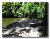 Auckland-Domain-Park-North-Island-New-Zealand-033