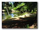 Auckland-Domain-Park-North-Island-New-Zealand-034