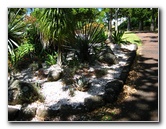 Auckland-Domain-Park-North-Island-New-Zealand-037