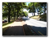 Auckland-Domain-Park-North-Island-New-Zealand-039