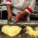 Benihana Japanese Steakhouse Restaurant Review
