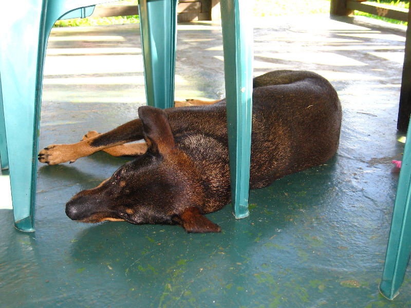 Bibis-Hideaway-Matei-Taveuni-Island-Fiji-031
