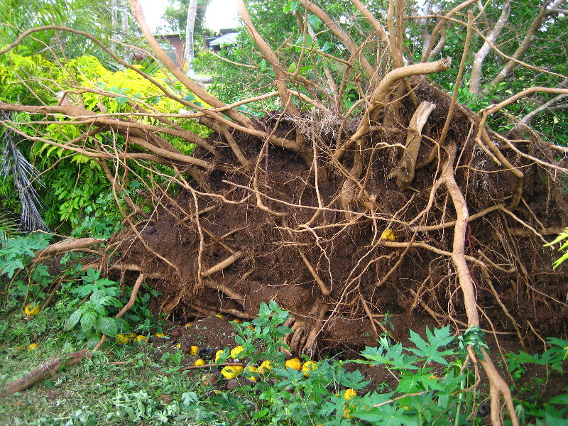 Bibis-Hideaway-Matei-Taveuni-Island-Fiji-037